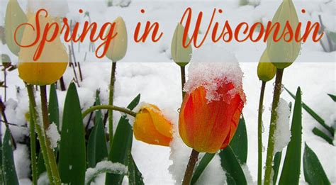 Spring in Wisconsin