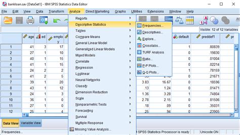 spss software for statistical analysis