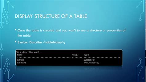 sql display table structure