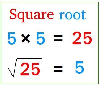 square root meaning in mathematics