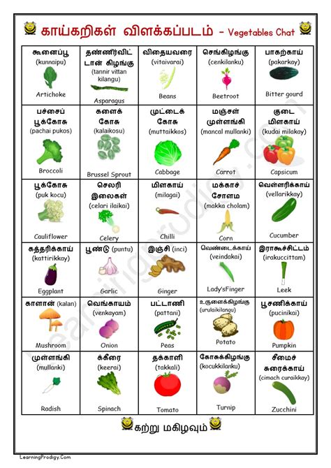 squash vegetable meaning in tamil with example