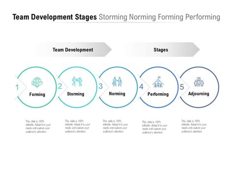 stages of team development storming