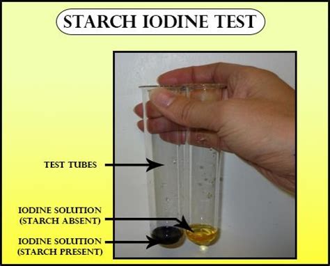 Starch iodine complex color