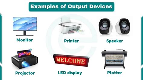 state some examples of output devices