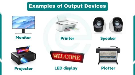 state two examples of output devices