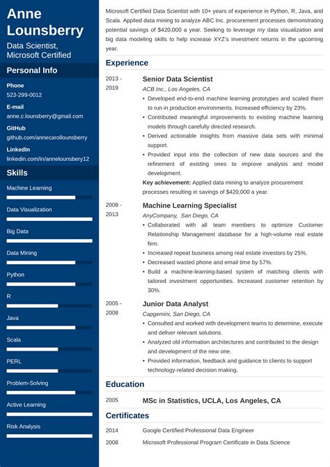 statistics cv example