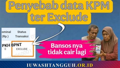 Ilustrasi Status Bansos Exclude