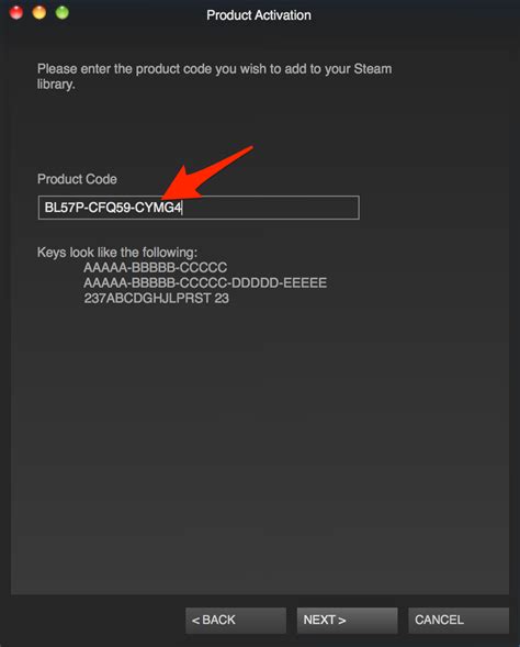 steam code example