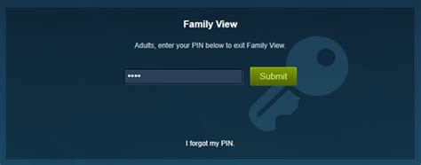 steam enter code to exit family view