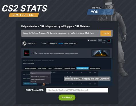 steam player stats cs2