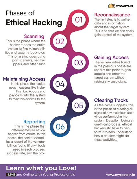 steps of ethical hacking