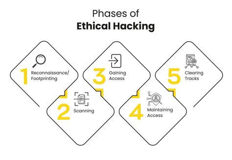 steps of ethical hacking in cyber security