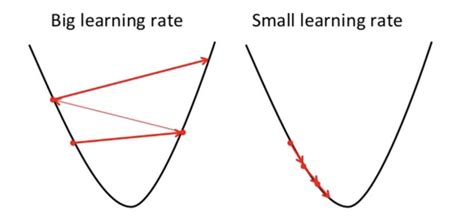 stochastic gradient descent learning rate