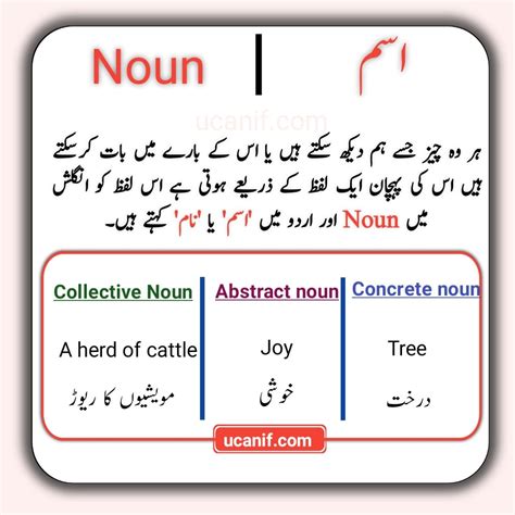 stock meaning in urdu with example