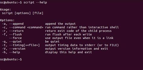 stop script command in linux