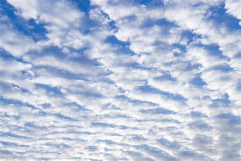 Awan Stratus