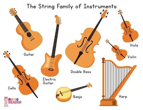 string instrument related instruments list with pictures