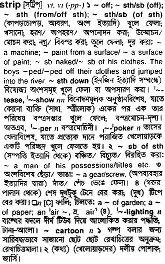 strip plastic meaning in bengali with example