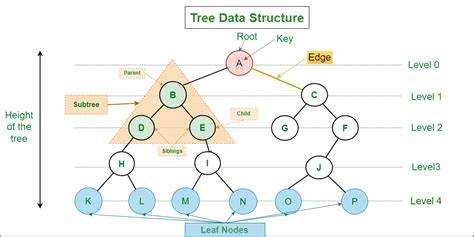 struktur data tree