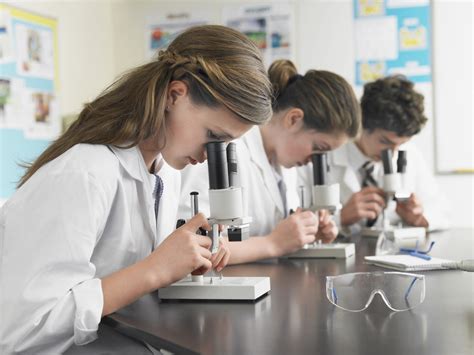 Student doing practical work