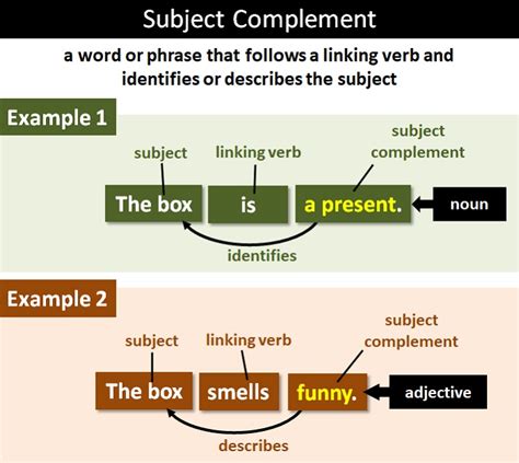 subject complement examples sentences