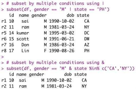 subset example in r