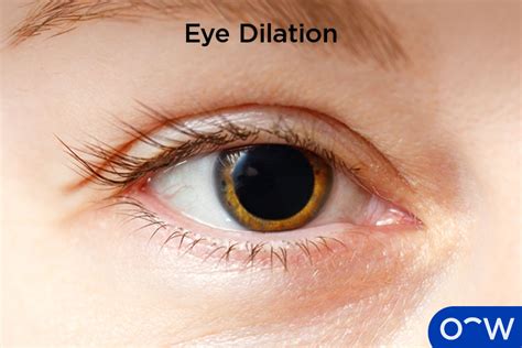 sudden sensitivity to light in one eye