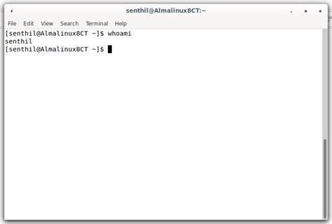 sudo run command as another user without password