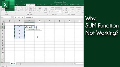sum function in excel not working