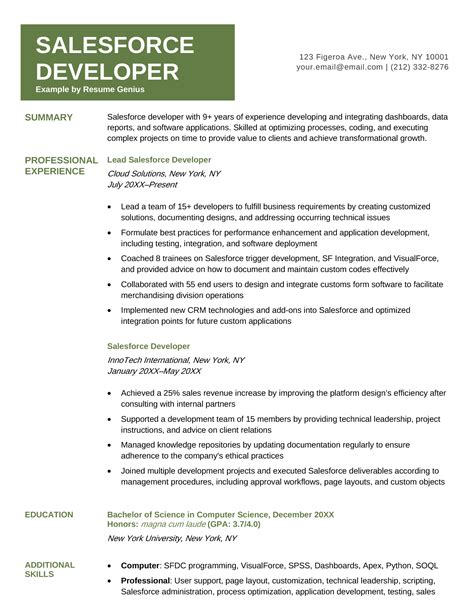 summary for salesforce developer resume