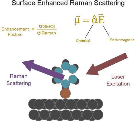 surface_enhanced_raman_scattering.pdf