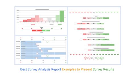 survey data report sample