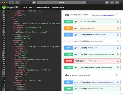 swagger ui express json example