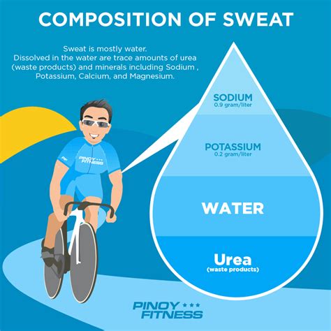 sweat composition and recovery