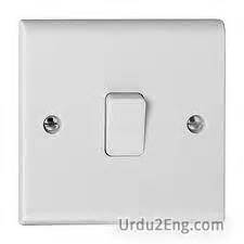 switch meaning in urdu