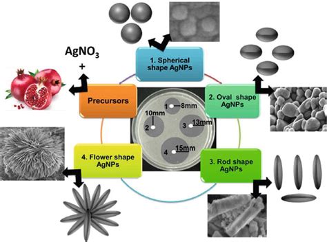 synthesis method of silver nanoparticles