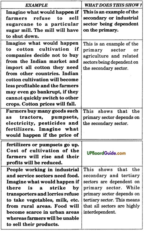 table 2.1 examples of economic activities class 10 solutions