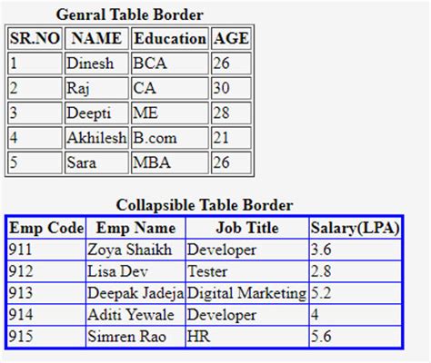 table border html example