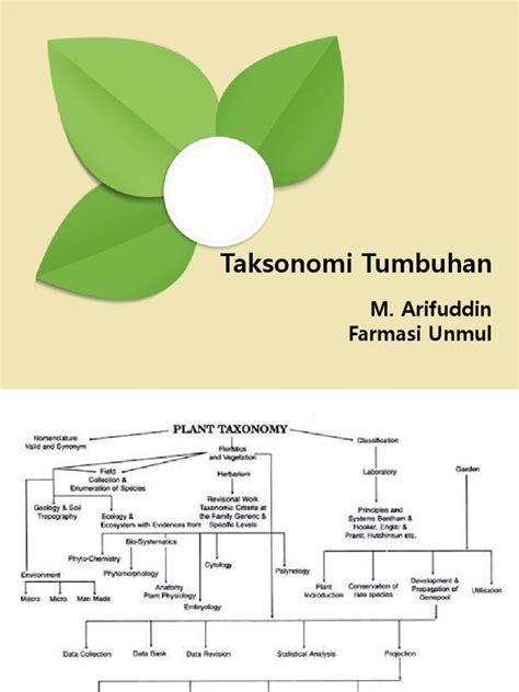 taksonomi tumbuhan
