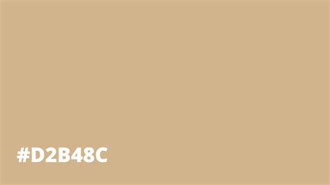 tan brown rgb code
