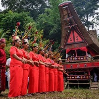 Tana Toraja New Year