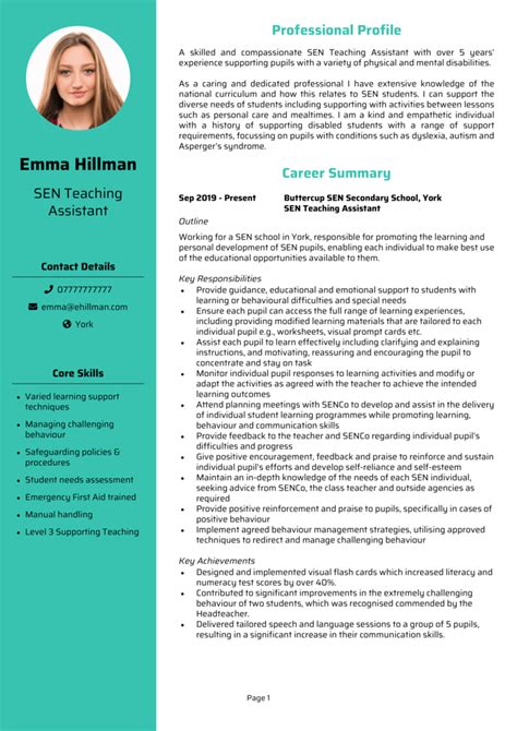 teaching assistant profile example