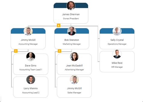 team structure examples