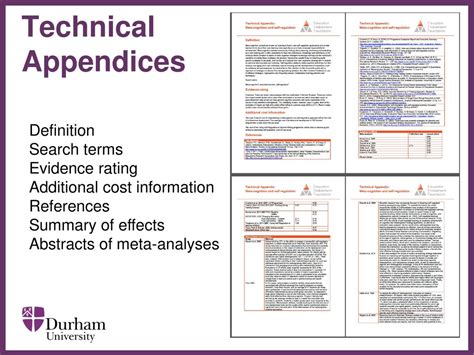 technical appendices meaning