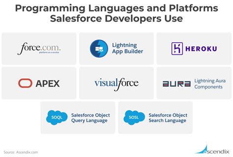 technical skills required for salesforce developer