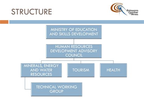 technical working group members