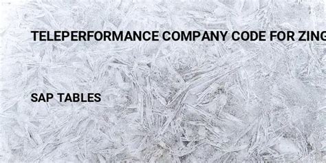 teleperformance code for zing hr