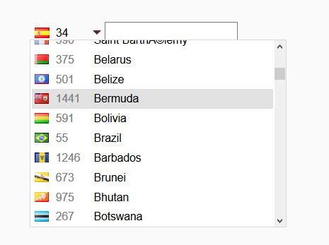 telephone country code drop down list html