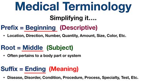 terminology meaning and examples