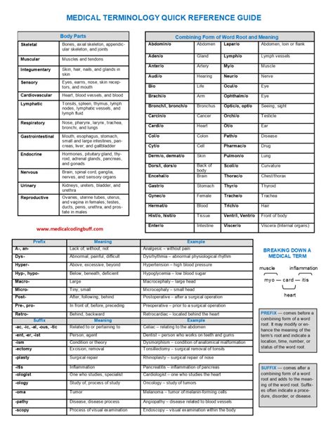 terminology meaning in medical coding